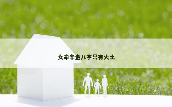 女命辛金八字只有火土