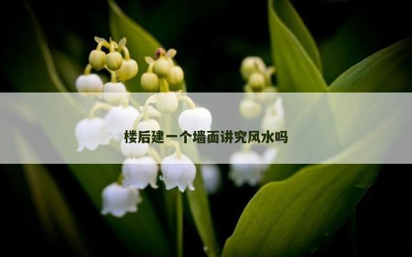 楼后建一个墙面讲究风水吗