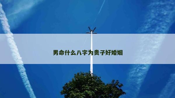 男命什么八字为贵子好婚姻