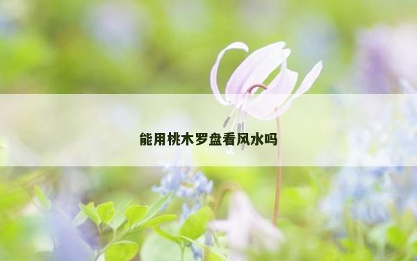 能用桃木罗盘看风水吗