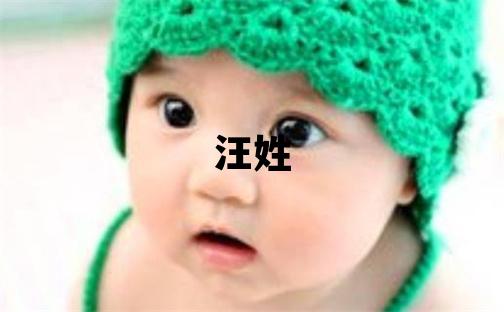 汪姓取名有涵养的男宝宝名字