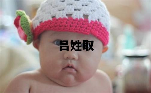 吕姓取名优美的男宝宝名字