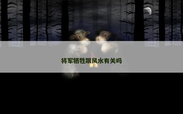 将军牺牲跟风水有关吗