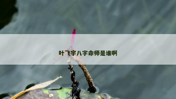 叶飞宇八字命师是谁啊