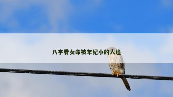 八字看女命被年纪小的人追