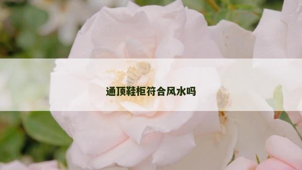 通顶鞋柜符合风水吗