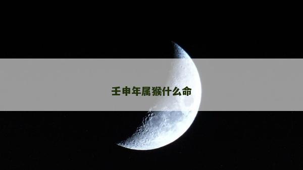 壬申年属猴什么命