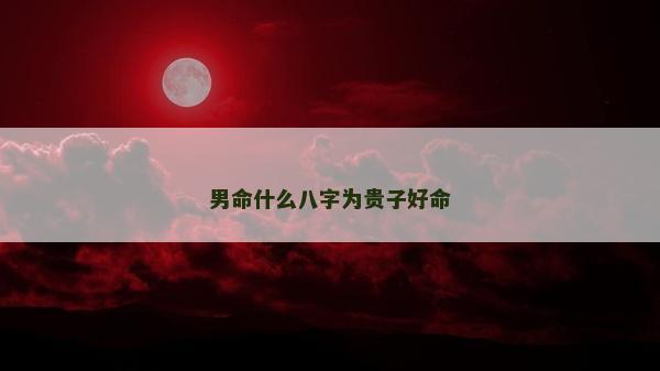 男命什么八字为贵子好命