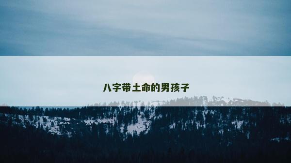 八字带土命的男孩子