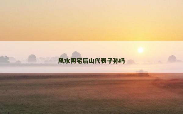 风水阴宅后山代表子孙吗