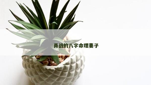 肖战的八字命理妻子