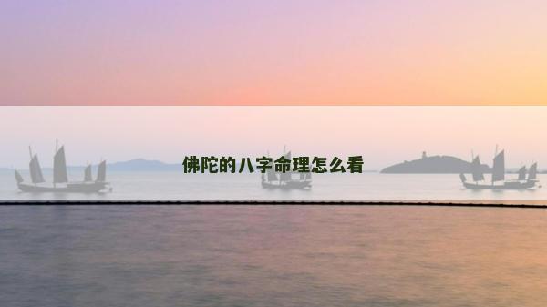 佛陀的八字命理怎么看