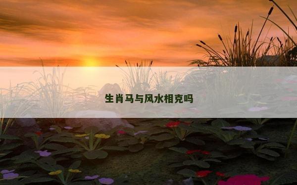 生肖马与风水相克吗