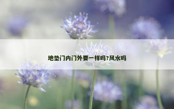 地垫门内门外要一样吗?风水吗