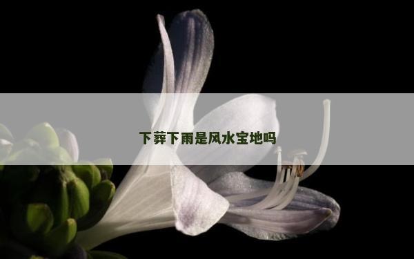 下葬下雨是风水宝地吗