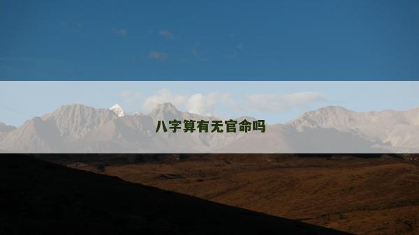 八字算有无官命吗