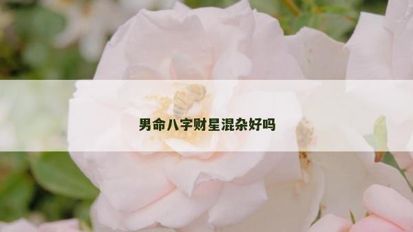 男命八字财星混杂好吗