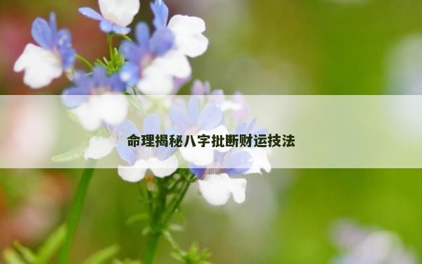 命理揭秘八字批断财运技法