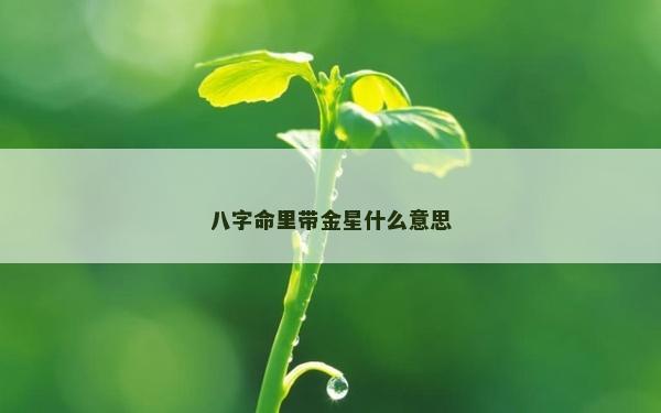 八字命里带金星什么意思