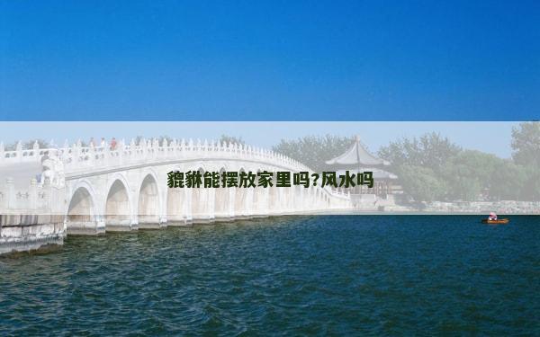 貔貅能摆放家里吗?风水吗
