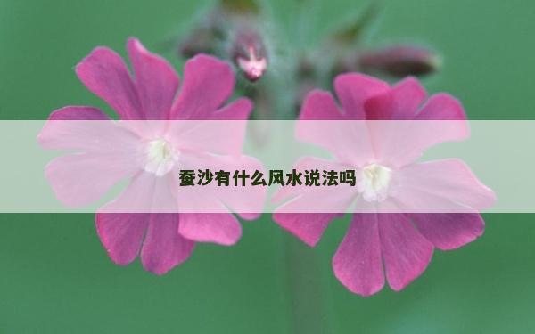 蚕沙有什么风水说法吗
