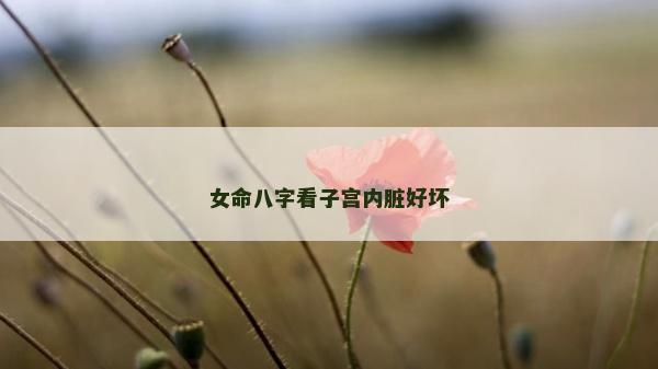 女命八字看子宫内脏好坏