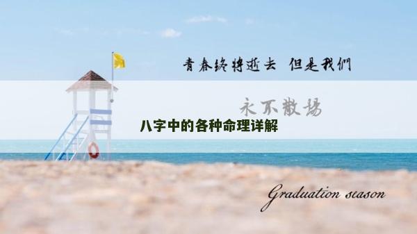 八字中的各种命理详解