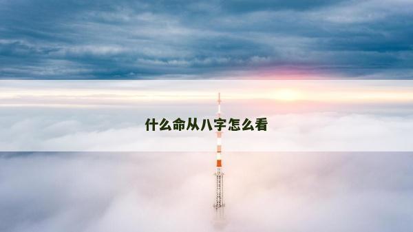 什么命从八字怎么看