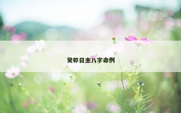 癸卯日主八字命例