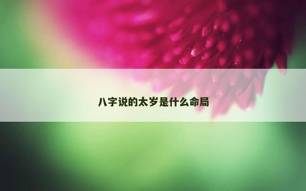八字说的太岁是什么命局