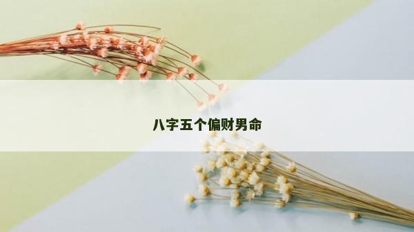 八字五个偏财男命
