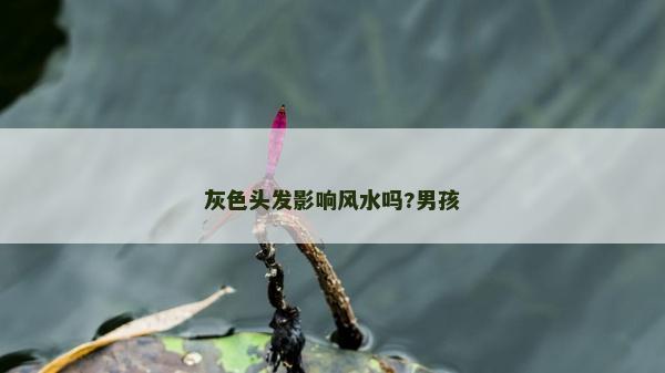 灰色头发影响风水吗?男孩