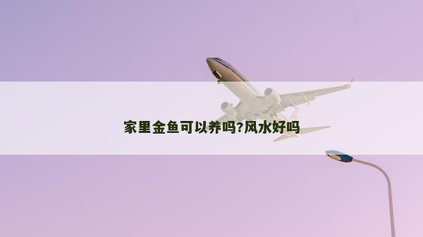 家里金鱼可以养吗?风水好吗