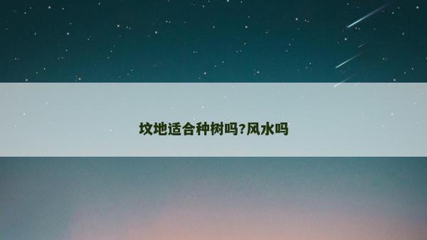 坟地适合种树吗?风水吗