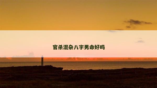 官杀混杂八字男命好吗