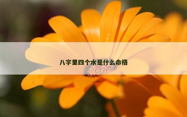 八字里四个水是什么命格