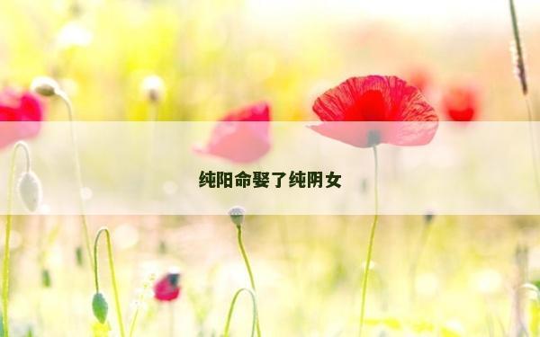 纯阳命娶了纯阴女