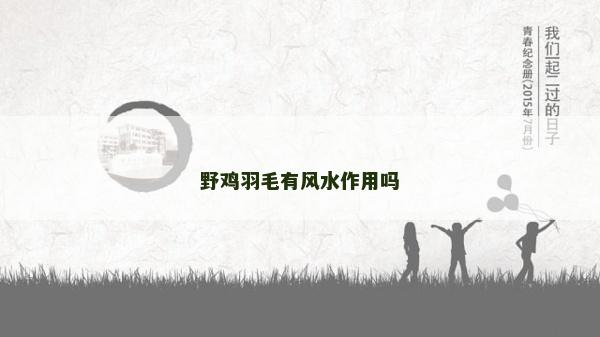 野鸡羽毛有风水作用吗