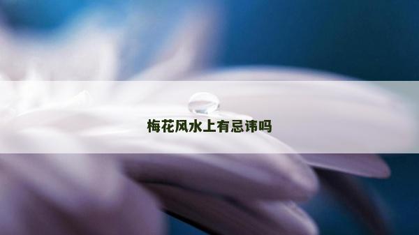 梅花风水上有忌讳吗