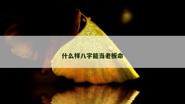 什么样八字能当老板命