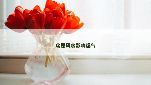 房屋风水影响运气