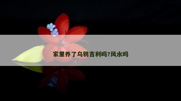 家里养了乌鸦吉利吗?风水吗
