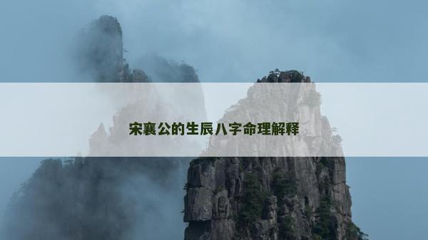 宋襄公的生辰八字命理解释