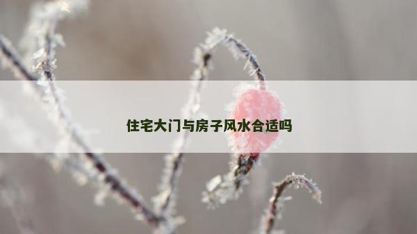住宅大门与房子风水合适吗