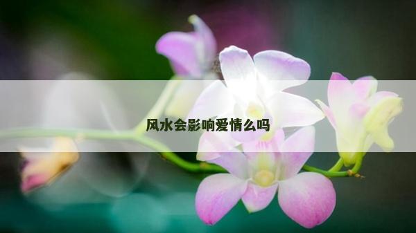 风水会影响爱情么吗