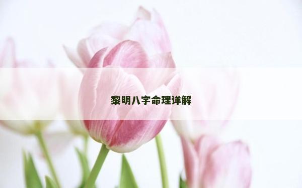 黎明八字命理详解