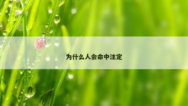 为什么人会命中注定