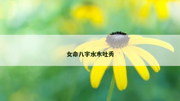 女命八字水木吐秀