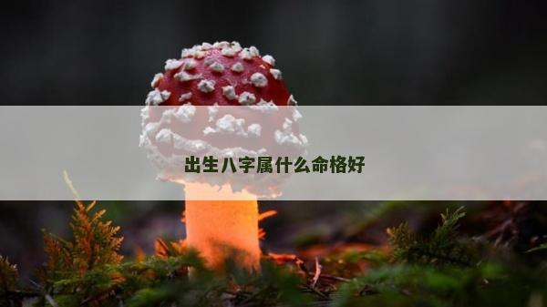 出生八字属什么命格好