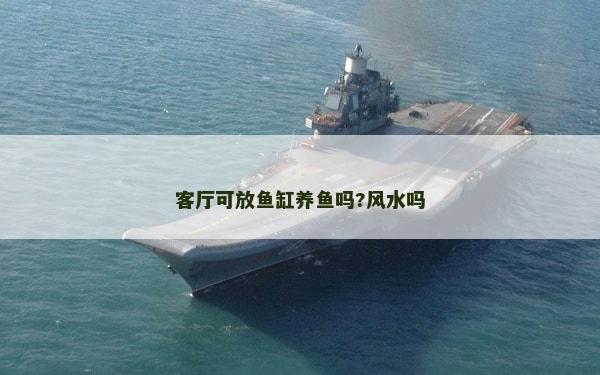 客厅可放鱼缸养鱼吗?风水吗